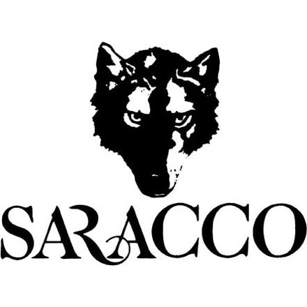 Logo Paolo Saracco